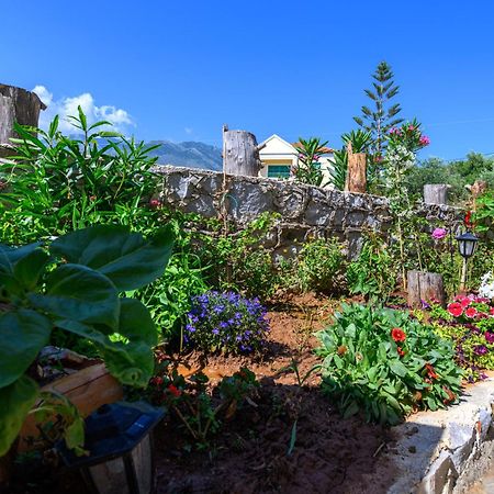 Ferienwohnung Σελήνη Kotronion  Exterior foto